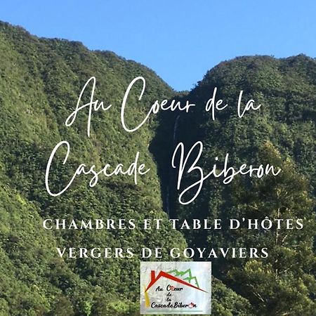 Au Coeur De La Cascade Biberon La Plaine des Palmistes Exterior foto