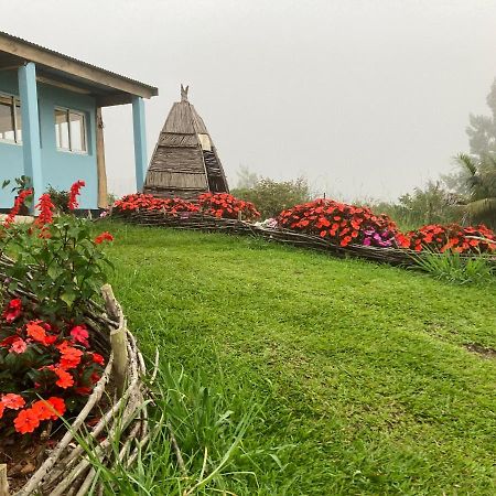 Au Coeur De La Cascade Biberon La Plaine des Palmistes Exterior foto